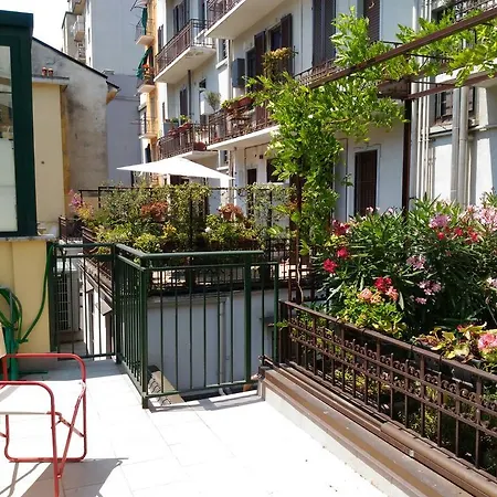 Cosy Open Space In Central Area